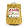 Barbante Apolo Círculo 600g Fio 6