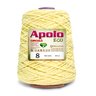 Barbante Apolo Círculo 600g Número 8