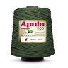Barbante Apolo Círculo 600g Número 8