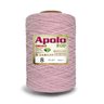 Barbante Apolo Eco Círculo Big Cone 1.8kg Fio 8