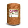 Barbante Apolo Eco Círculo Big Cone 1.8kg Fio 8