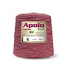 Barbante Apolo Círculo 1Kg Número 6