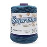 Barbante Supremo 600g Prediletto Fio 6