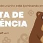 capa blog alerta de tendencia porta oculos