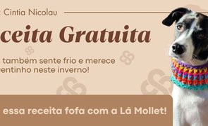 capa blog gola pet receita