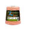 Barbante São João Amazônia 600 Gramas Fio 6 - 614 Metros