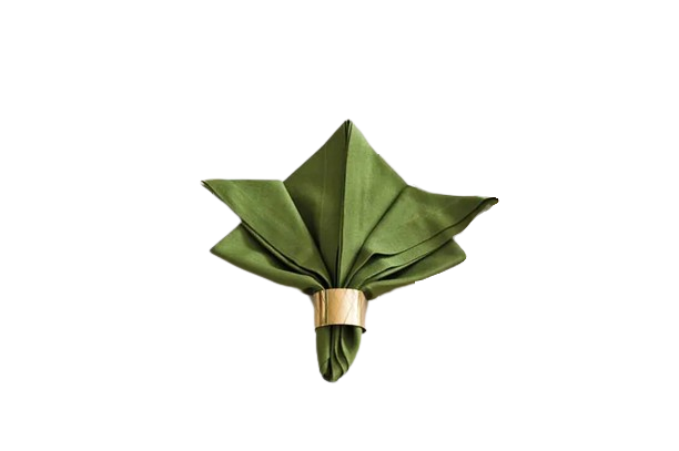 guardanapo 2 jpg removebg preview