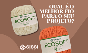 capa ecosoft fio 4 e 6