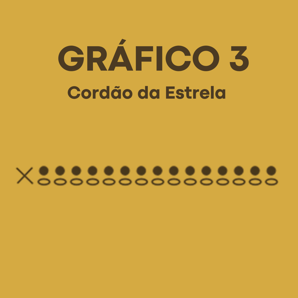 imagem 5 receita flamula ano novo