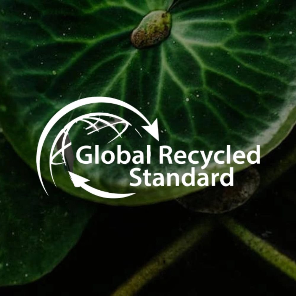 imagem 4 comparacao especial vs passione