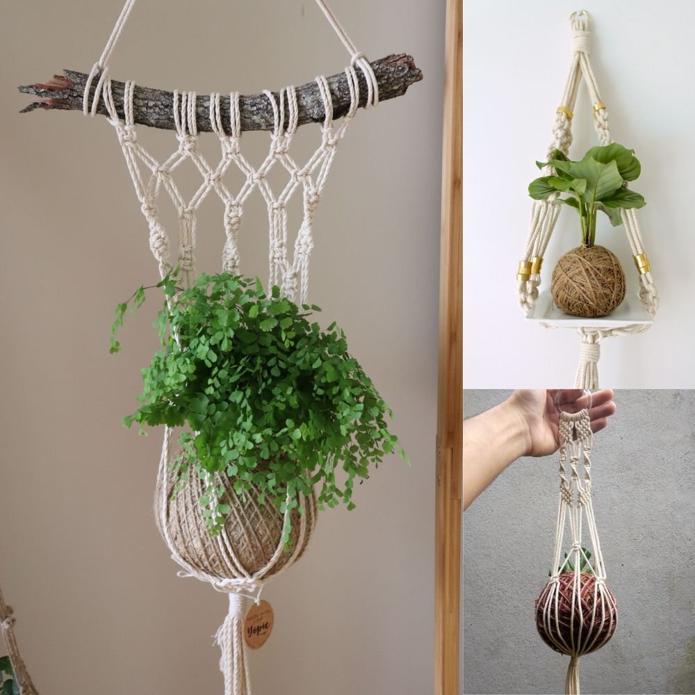 imagem 4 croche e plantas